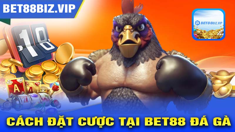 Cách chơi đặt cược hiệu quả trên BET88 ĐÁ GÀ