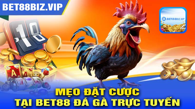 Mẹo cược cho người mới bắt đầu trên BET88 ĐÁ GÀ